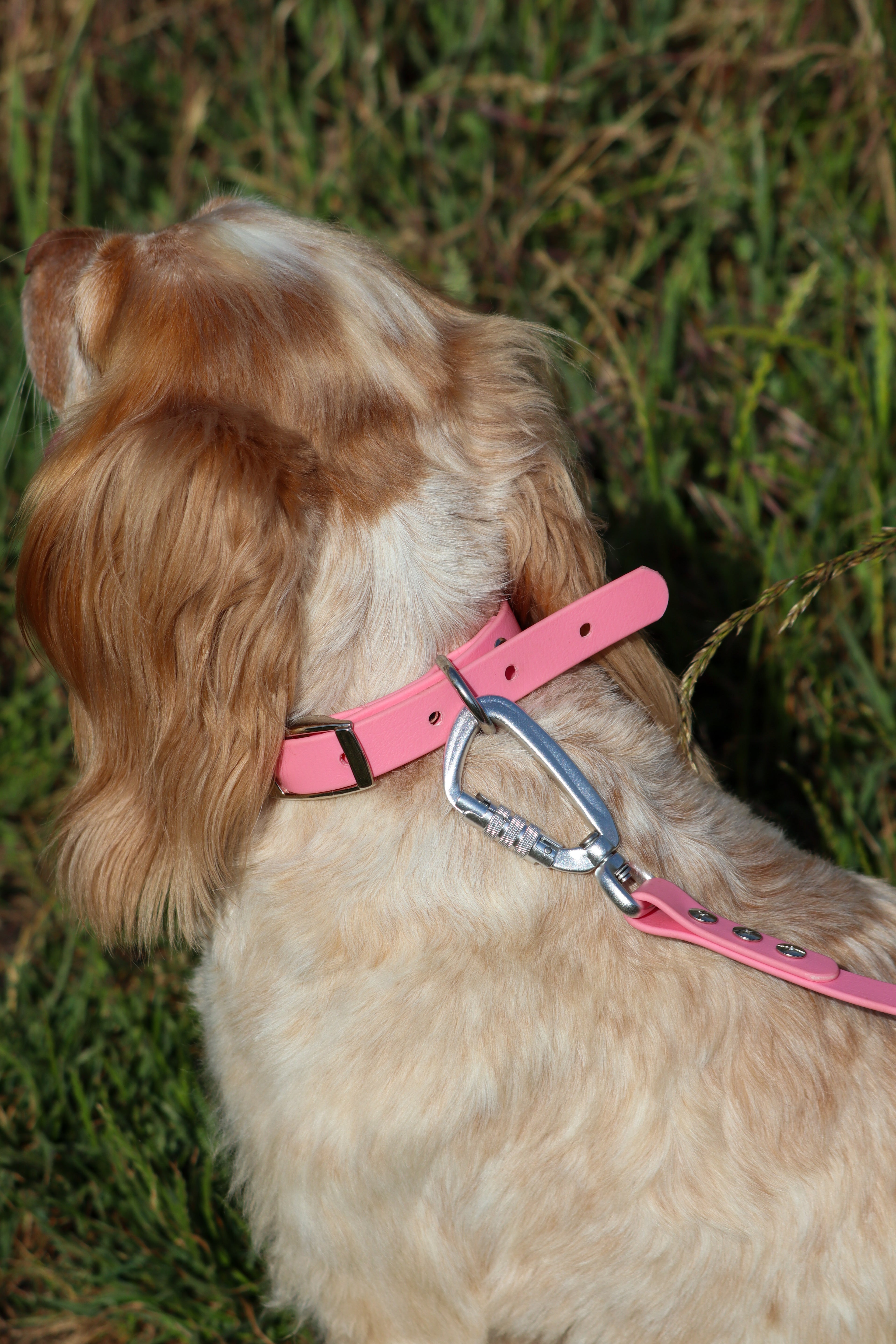 BioThane® collar - Size large