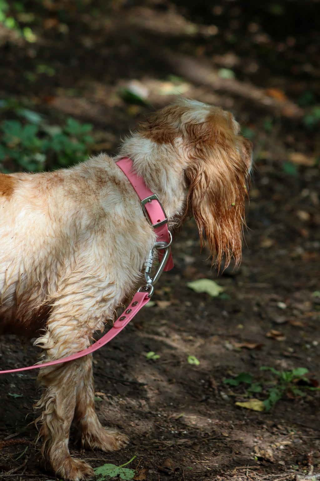 BioThane® collar - Size small