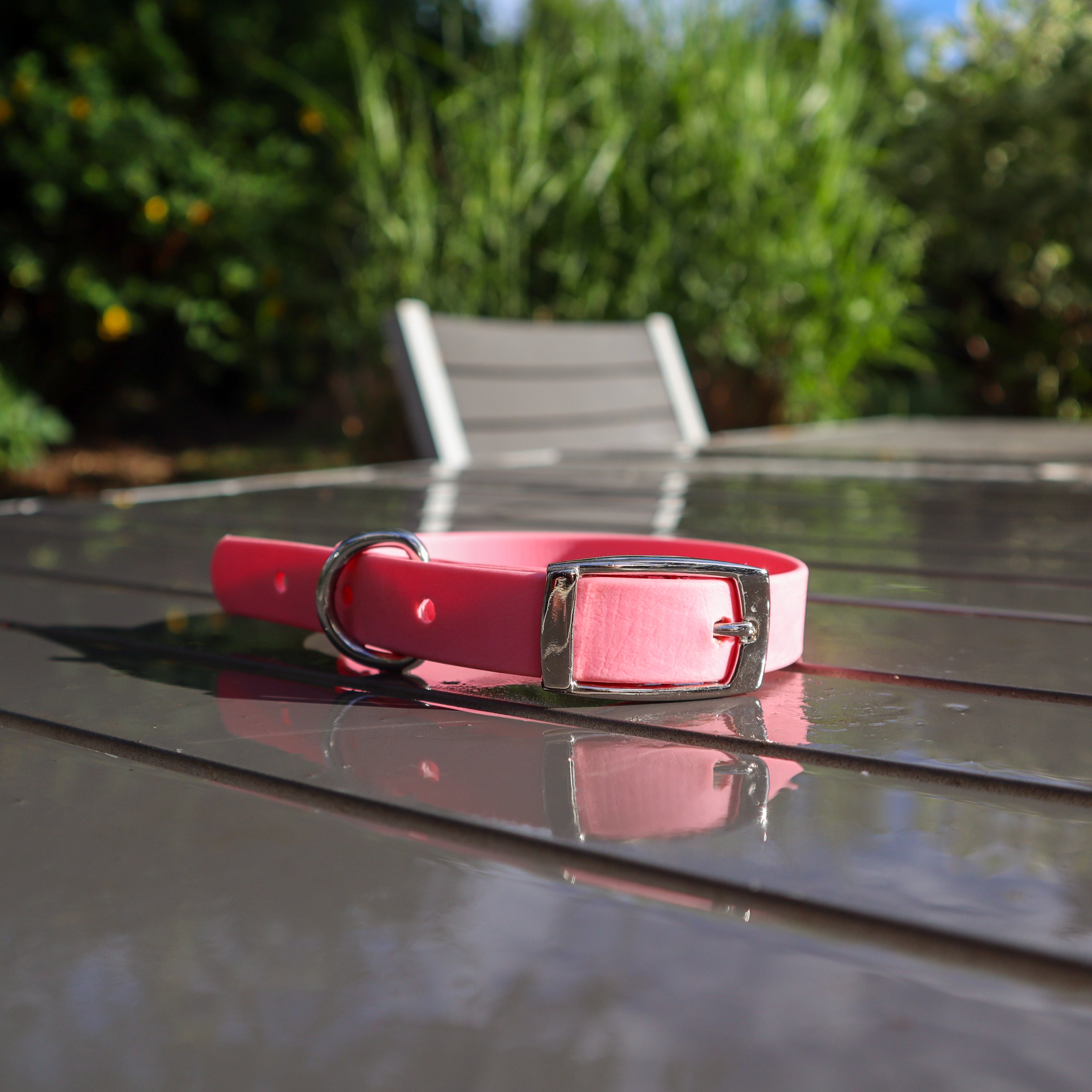 BioThane® collar - Size medium