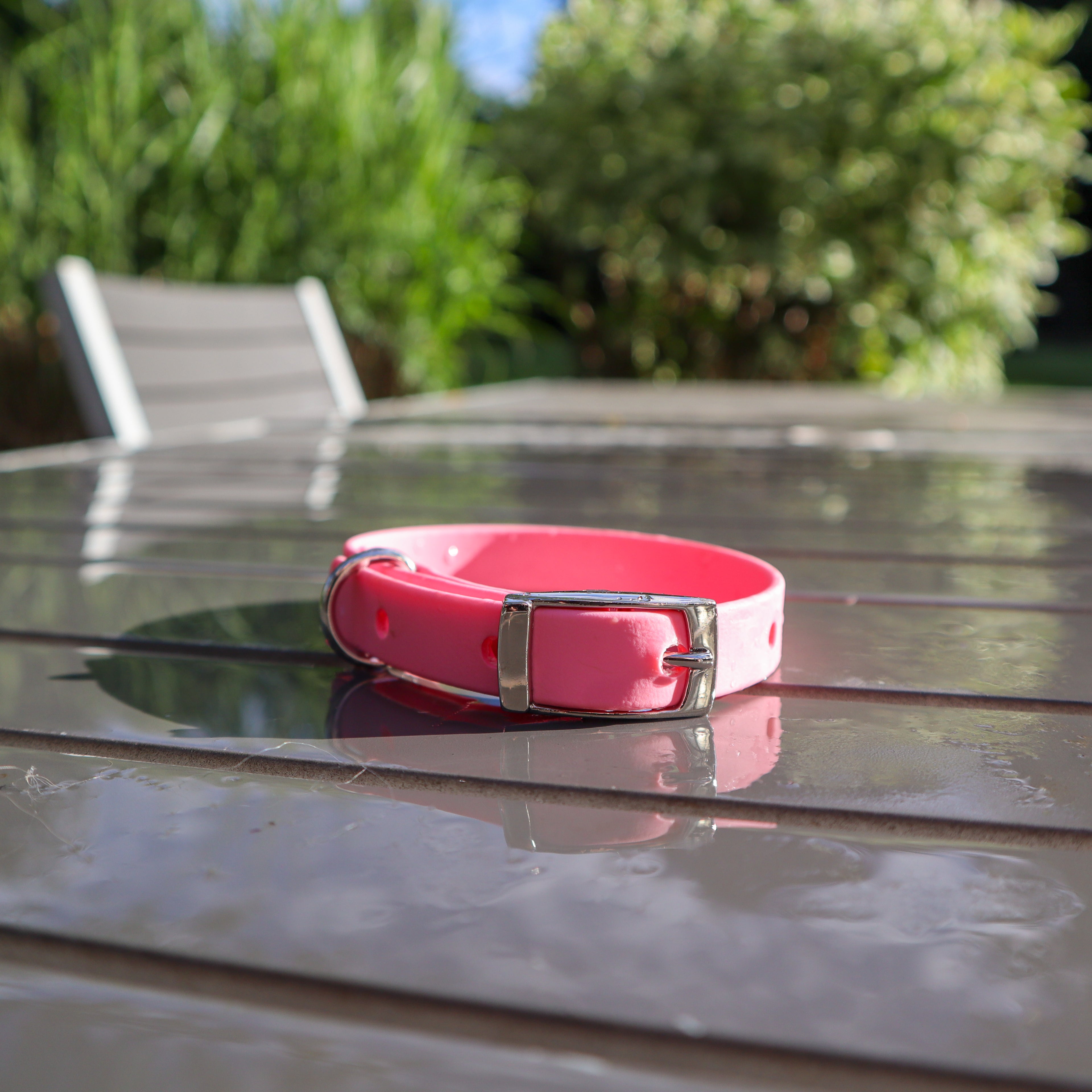 BioThane® collar - Size small