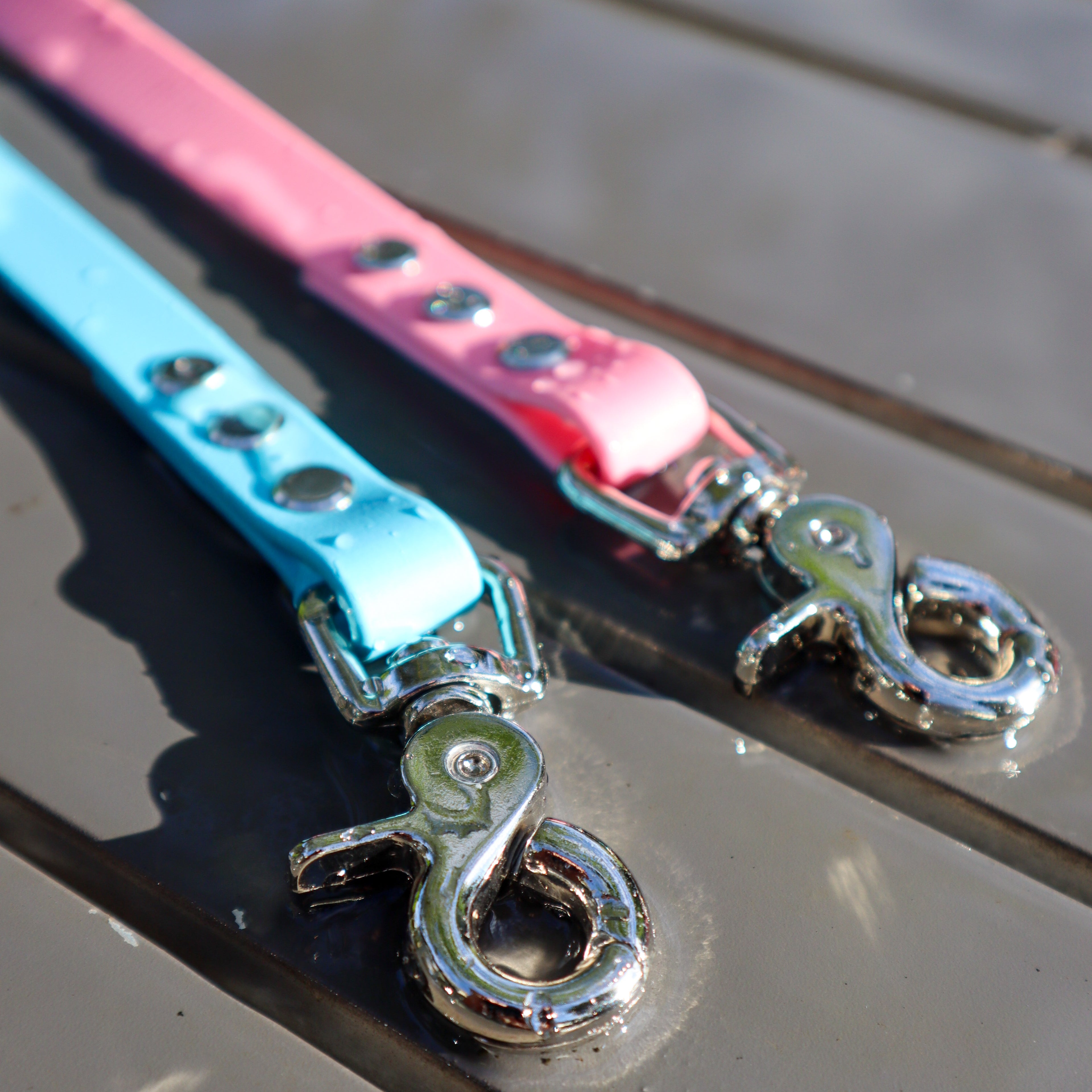 BioThane® 1.6m lead - Skinny