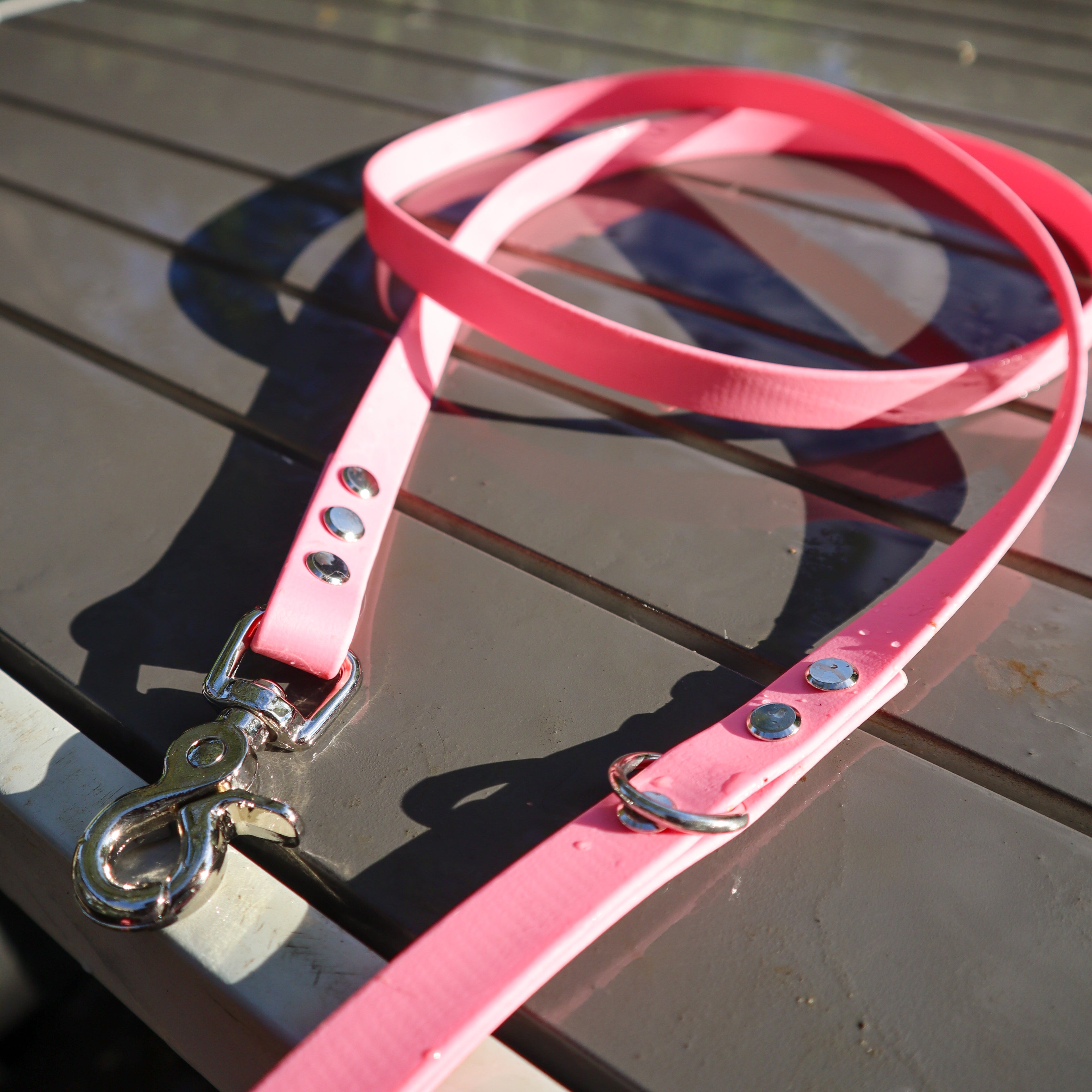 BioThane® 1.6m lead - Skinny
