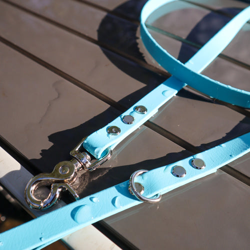 BioThane® 1.6m lead - Skinny