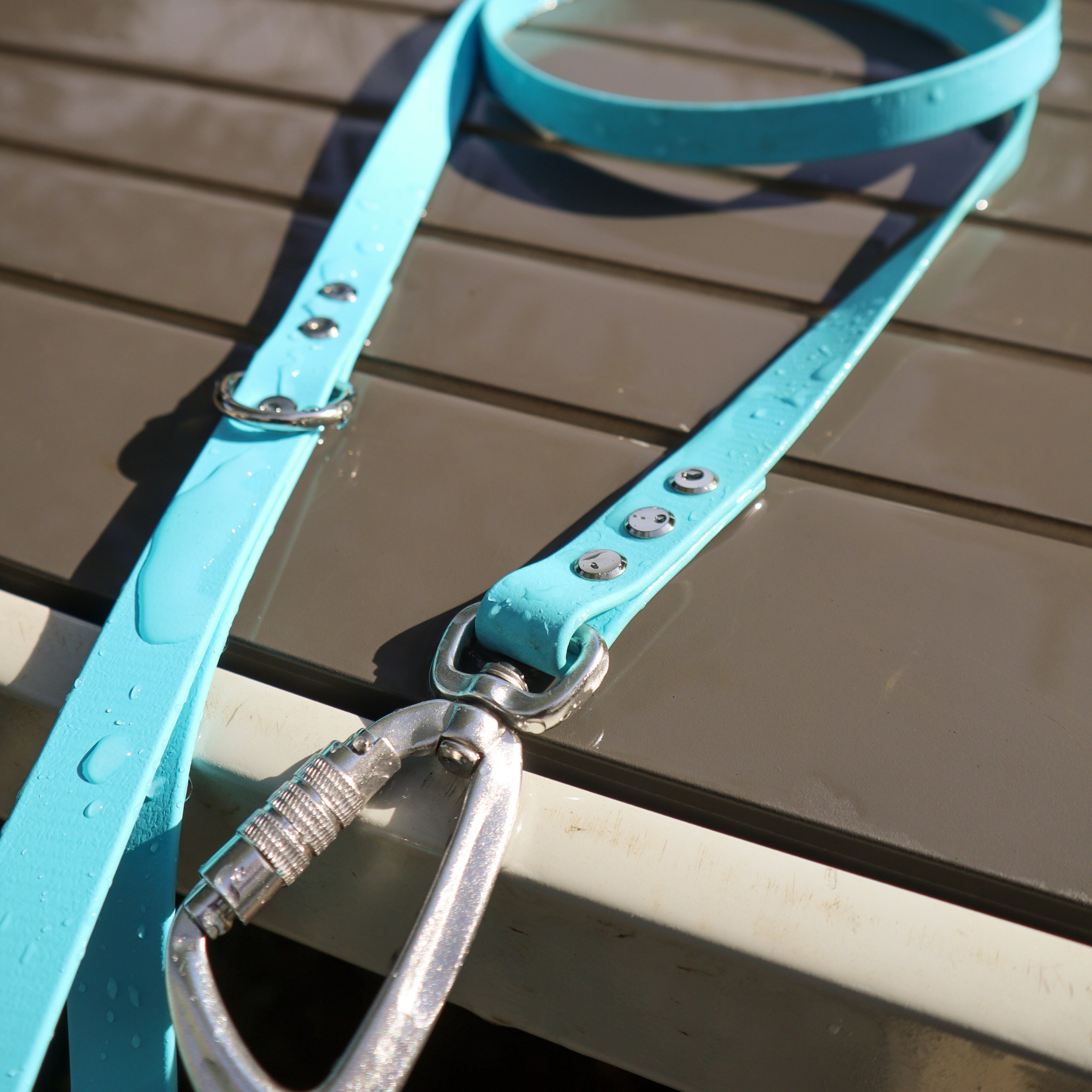 BioThane® 1.6m lead - Regular