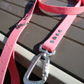 BioThane® 1.6m lead - Wide