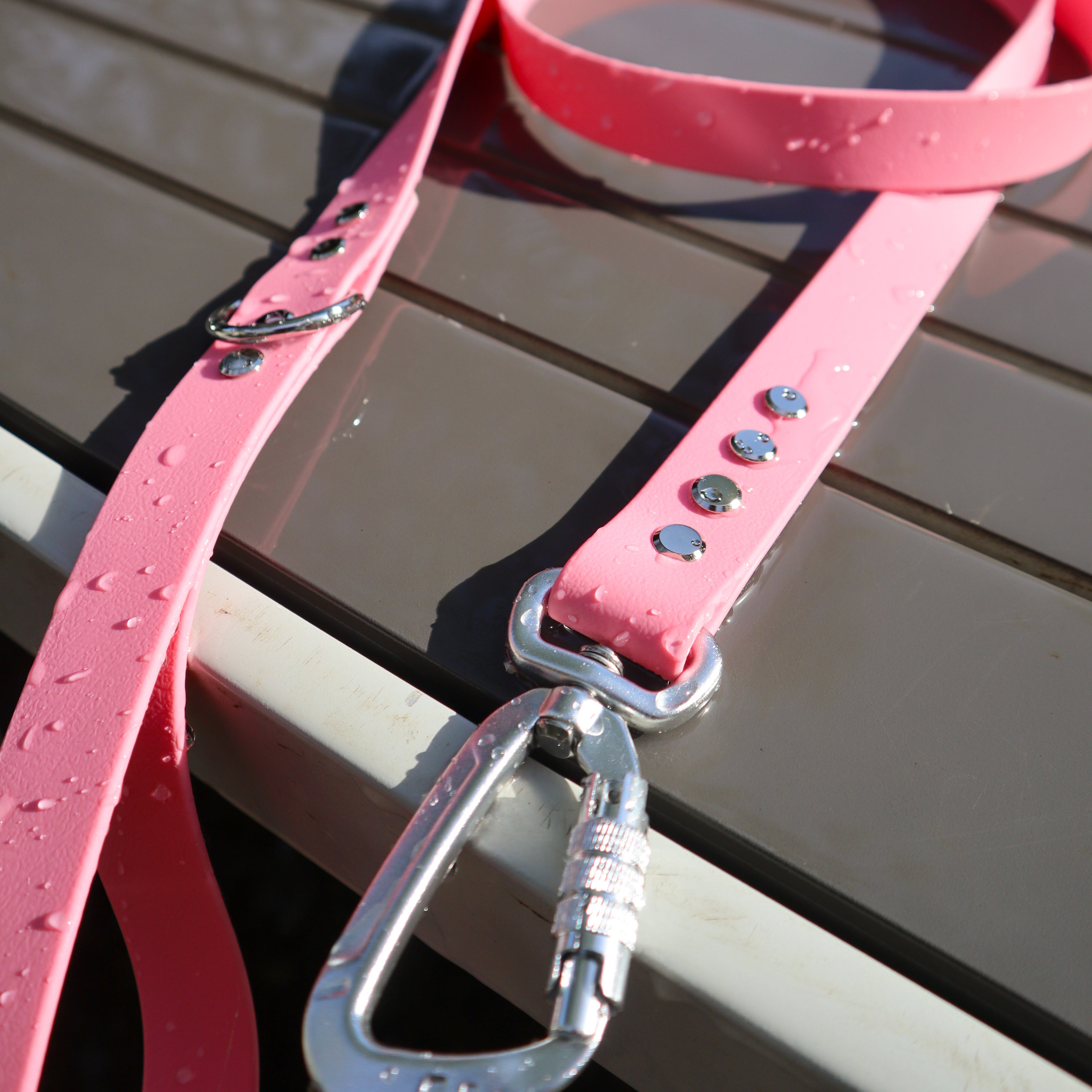 BioThane® 1.6m lead - Wide