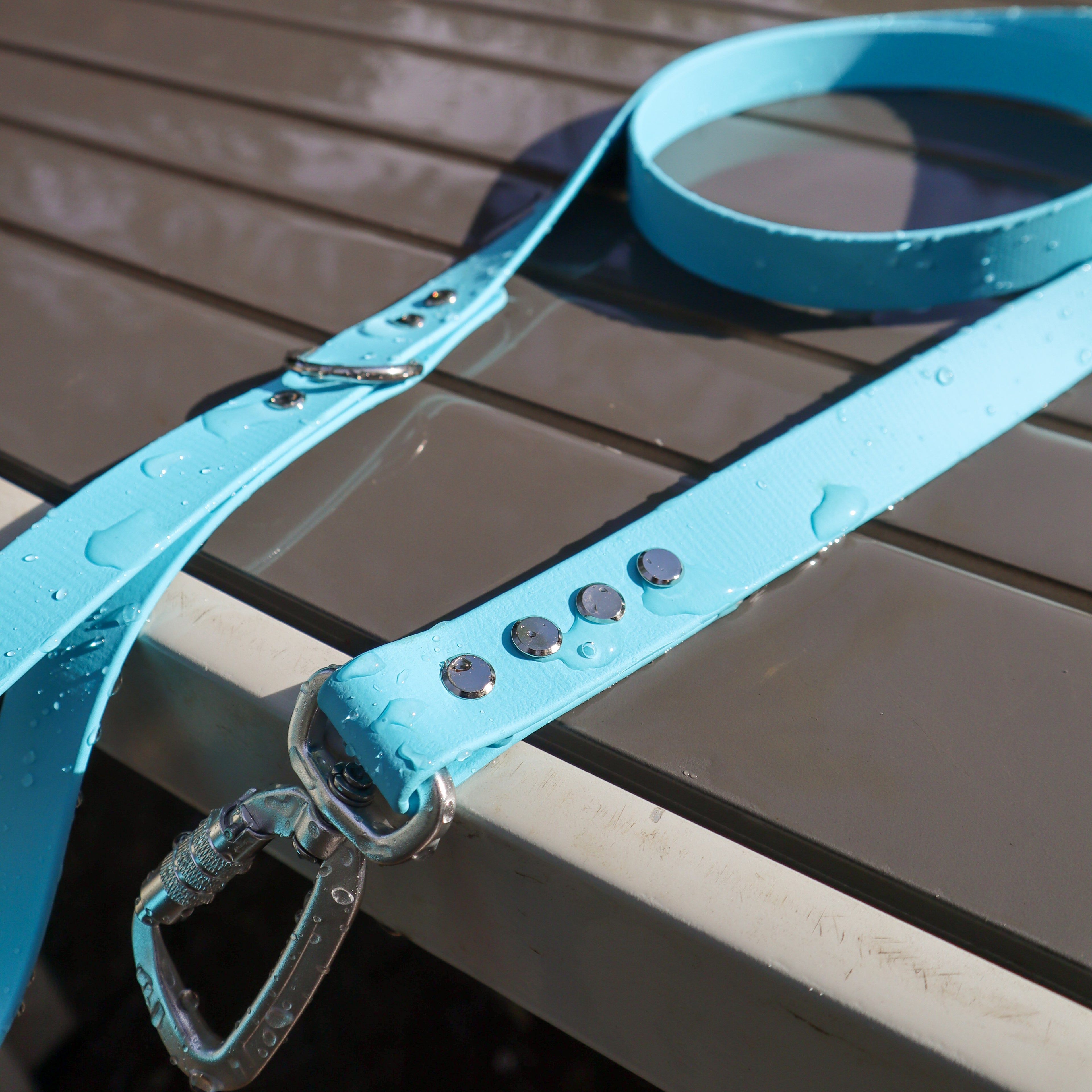 BioThane® 1.6m lead - Wide