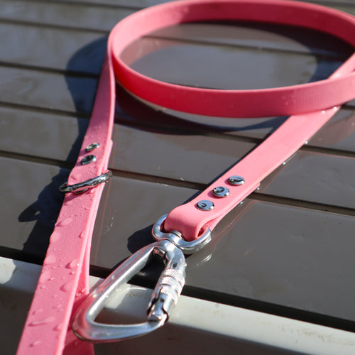 BioThane® 1.6m lead - Regular