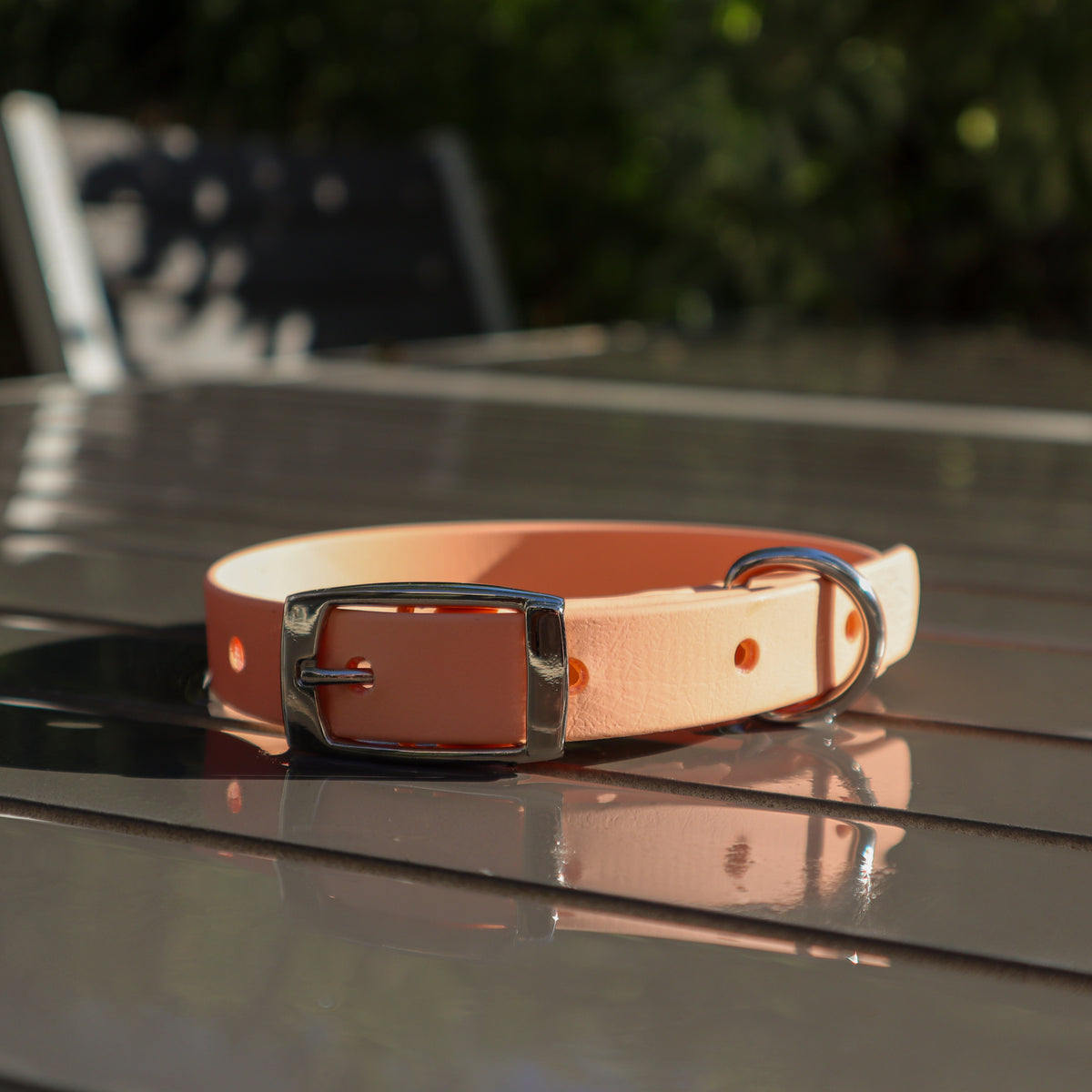 BioThane® collar - Size medium
