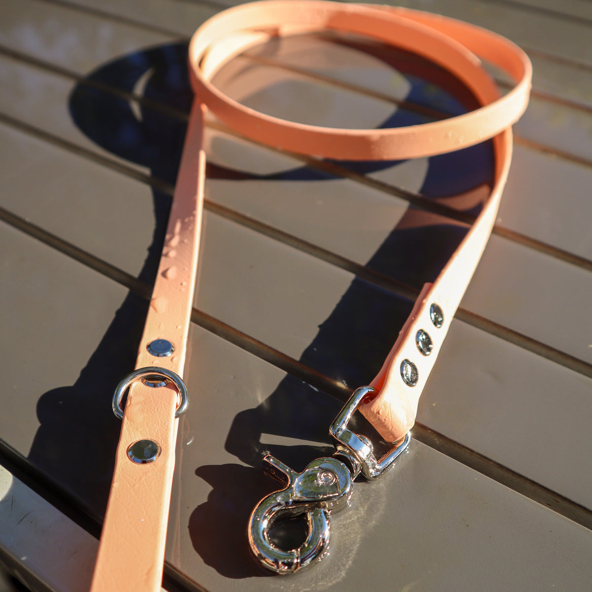 BioThane® 1.6m lead - Skinny