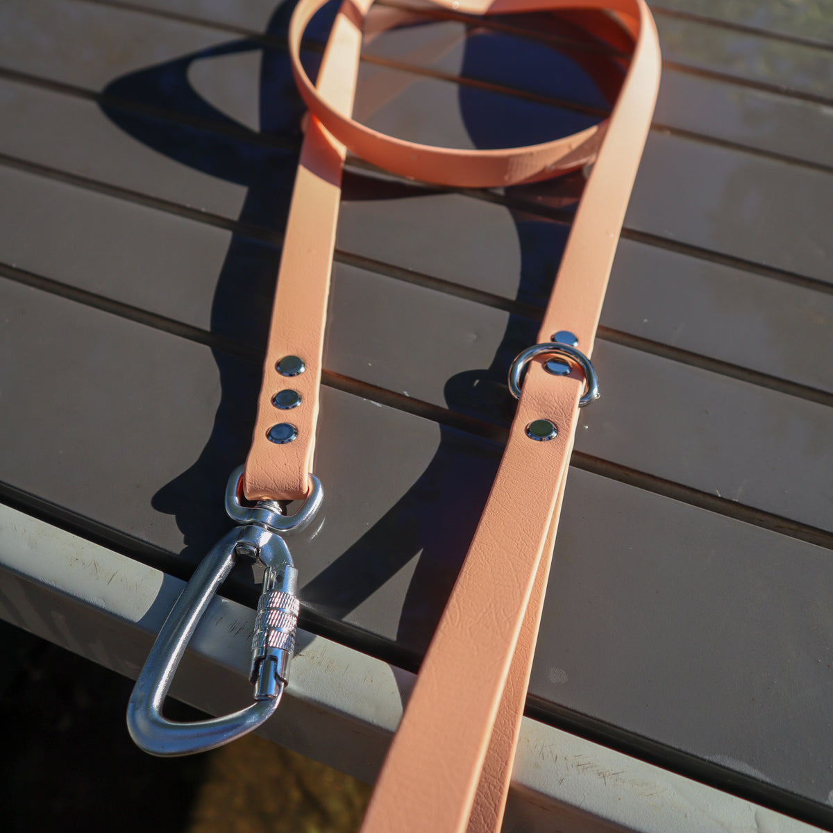 BioThane® 1.6m lead - Regular